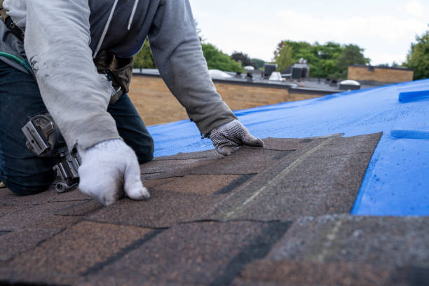 Quick and Trustworthy Emergency Roof Repair Services in Canyonville, OR
