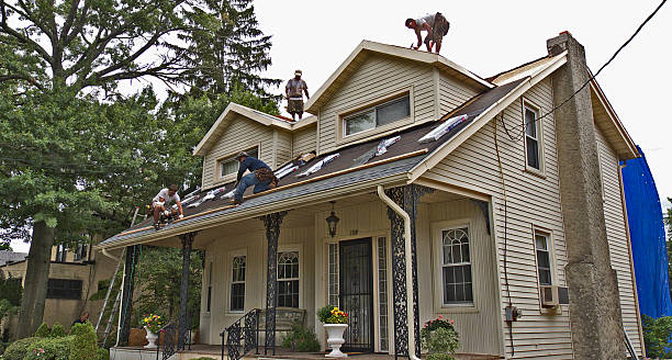 Roof Gutter Cleaning in Canyonville, OR